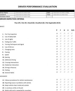 Driver Performance Evaluation