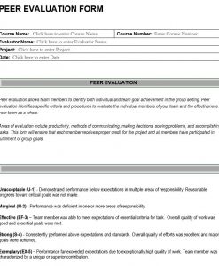 Peer Evaluation Form