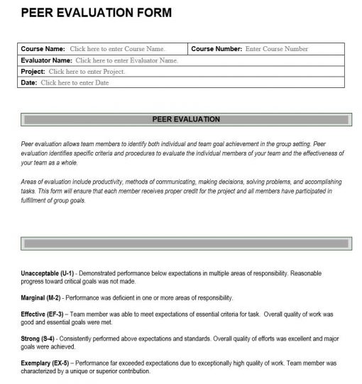 Peer Evaluation Form