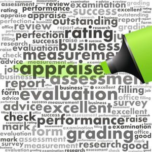 performance appraisal definitions