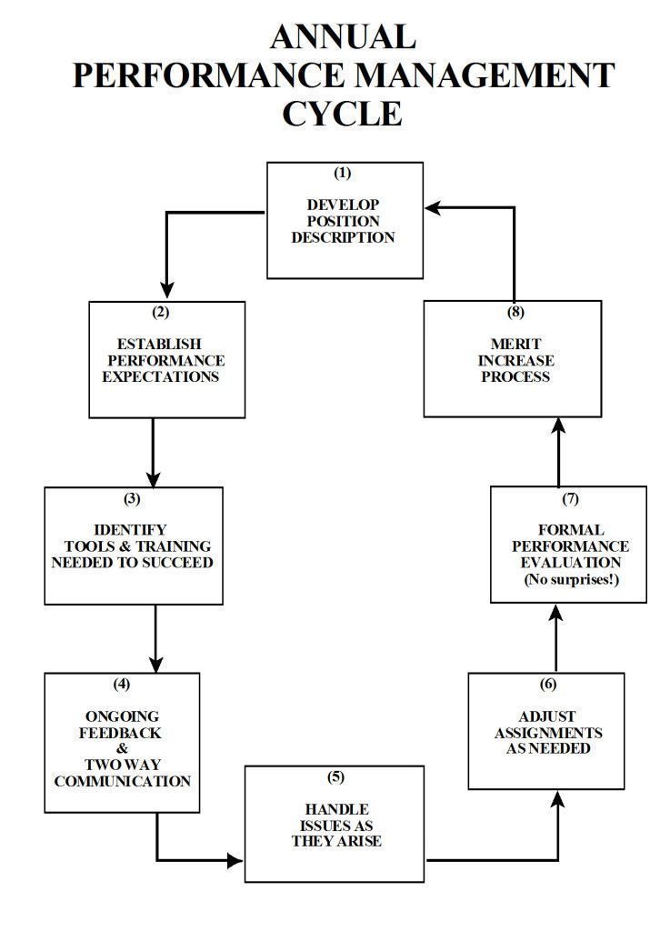 Performance Appraisal Process