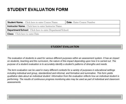 Student Evaluation Form